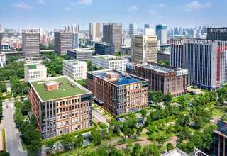 武漢東西湖區(qū)綠化養(yǎng)護(hù)防澇